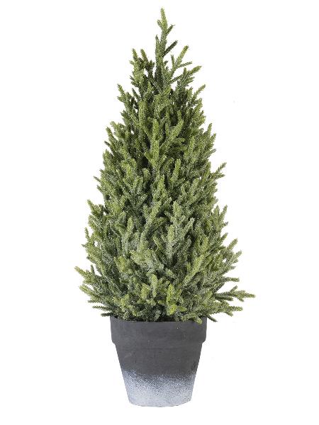 15586