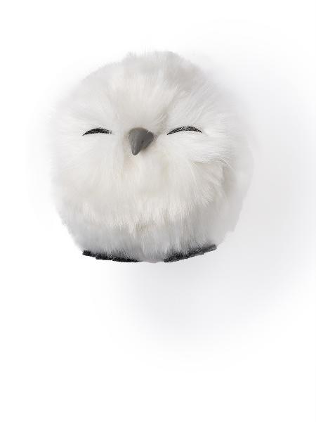 14245